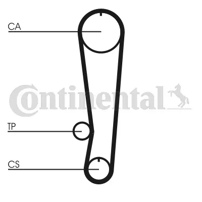 Timing Belt